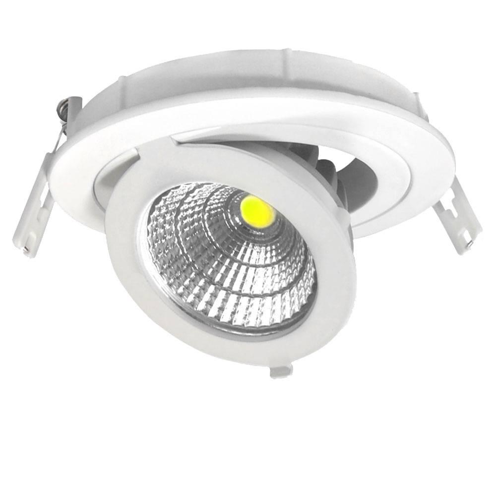 LED COB ADJUSTABLE DOWNLIGHT ROUND 12W STUDENÁ BIELA