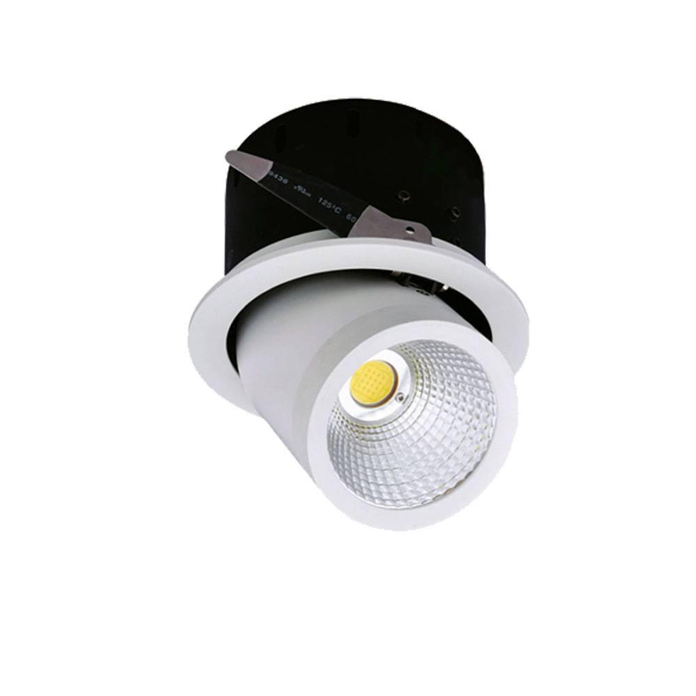 LED COB DOWNLIGHT ROTATABLE CITIZEN CHIP 35W STUDENÁ BIELA